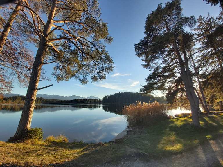 Schmutterweiher mit Ammergebirge im Hintergrund Routes for Walking and ...