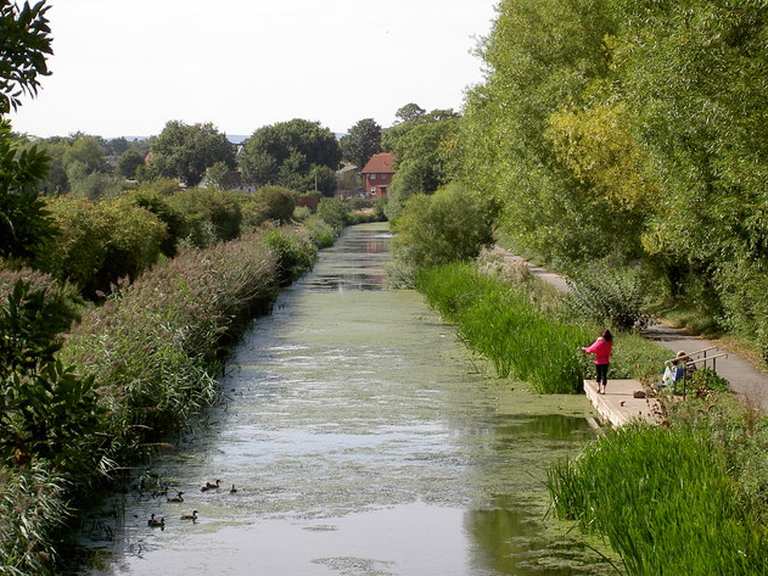 Bridgwater & Taunton Canal Path – Hiking & Cycling Routes | Komoot