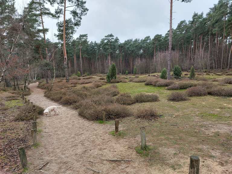 Die Wacholderheide in den Klatenbergen Wanderungen und Rundwege komoot