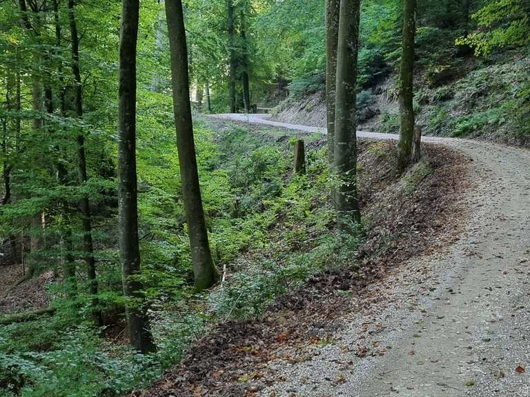 Steiler Aufstieg auf dem weg zur Marienschlucht : Radtouren und Radwege ...