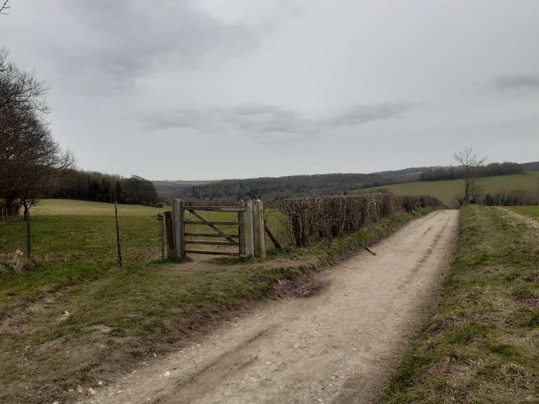 stanmer park mountain bike trails