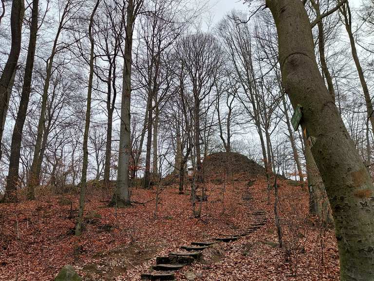 Borsberg Wanderungen und Rundwege komoot