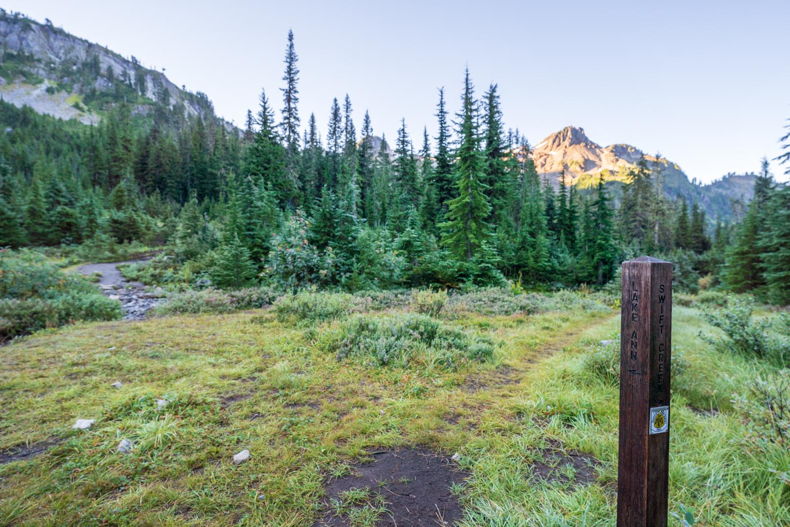 Wooden trail marker in a grassy clearing, surrounded by evergreen trees and mountains.