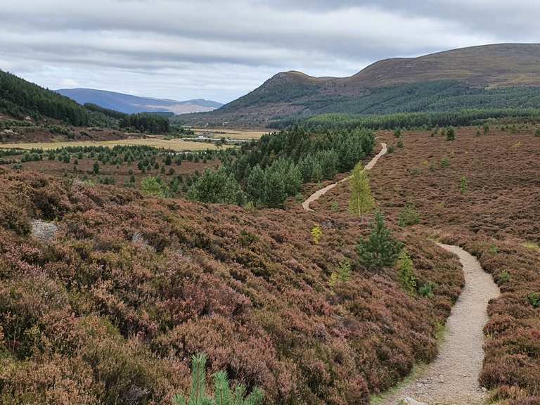 Upper Glen Feshie and Ruigh Aiteachain bothy trail — Cairngorms ...