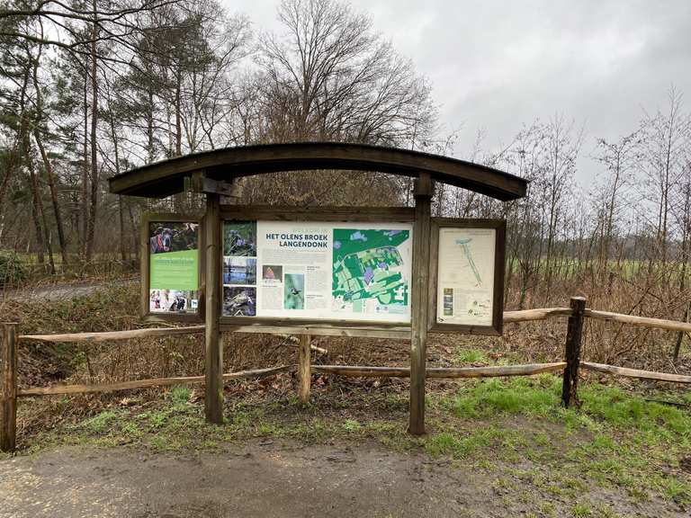 Uitblazen Onder De Eik Vogelkijkhut Runde Von Sint Jozef Olen 