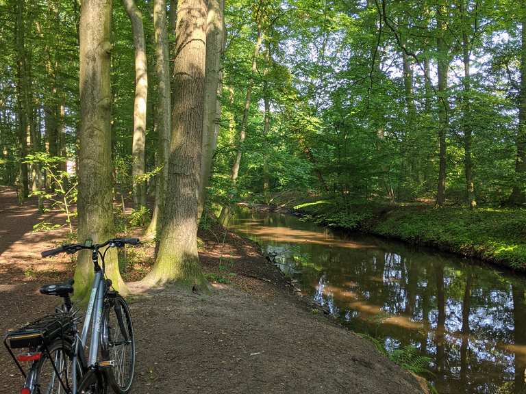 Lutter Wald NordrheinWestfalen, Deutschland Radtouren