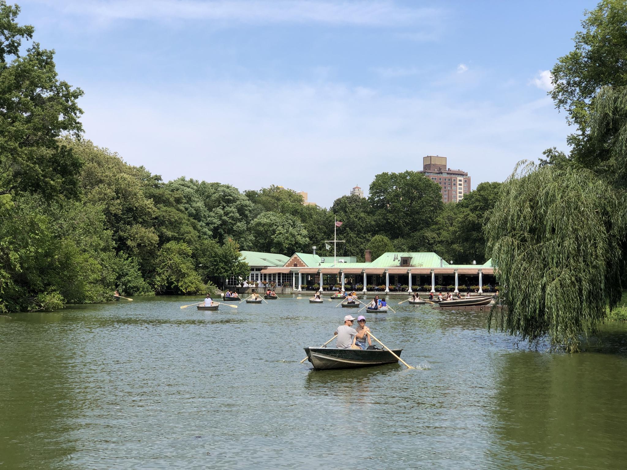 People rowing boats on a lake with a large building in the background.