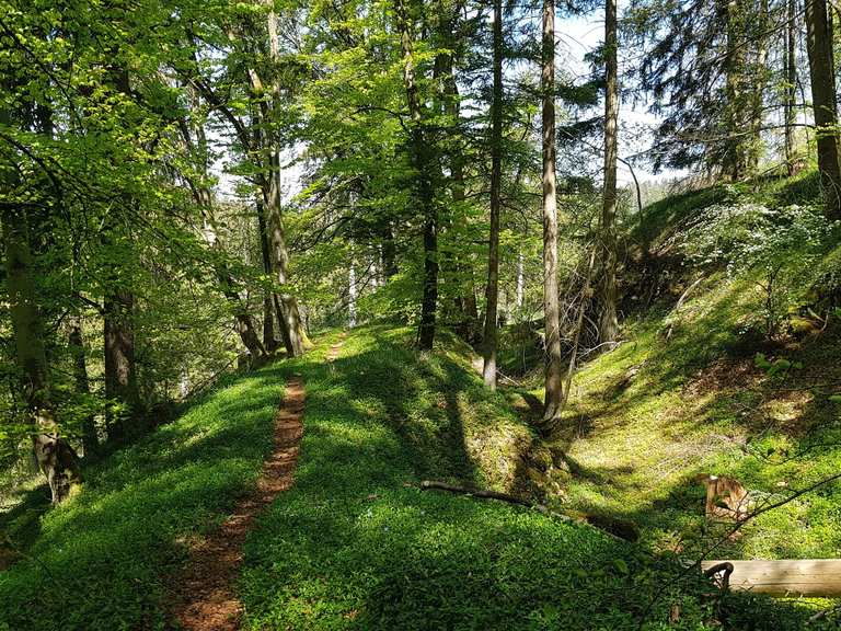 Burgstall Wieseck Wanderungen und Rundwege komoot