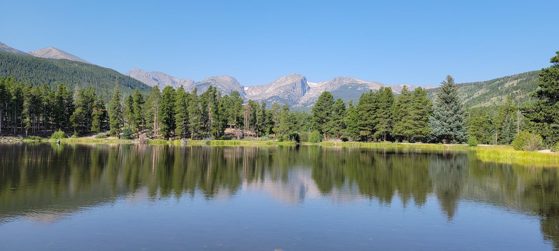 A calm lake perfectly reflects a pine forest and distant snow-capped mountains under clear skies.