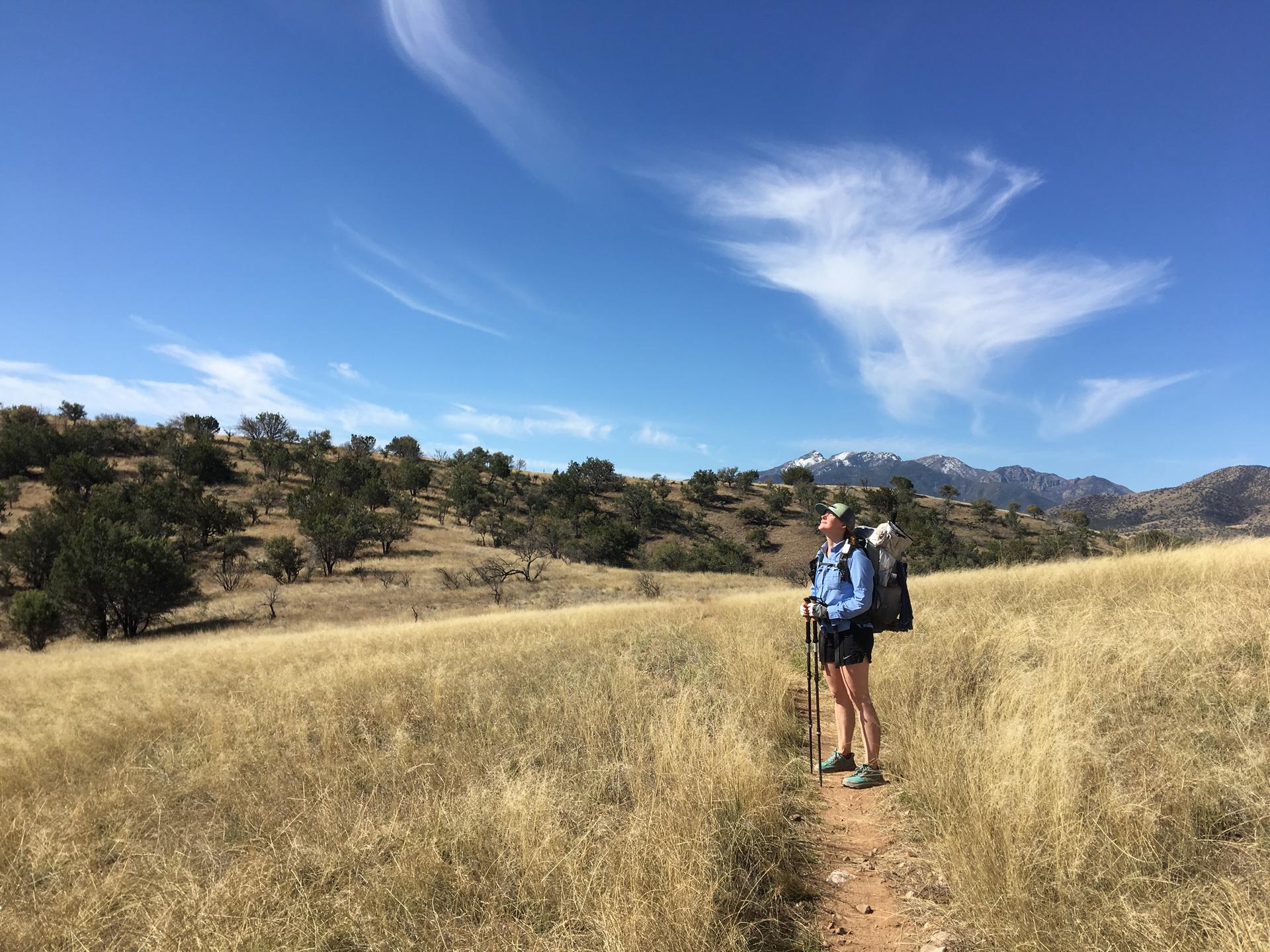 Hiker with backpack and poles stands on a grassy trail, looking at mountains.