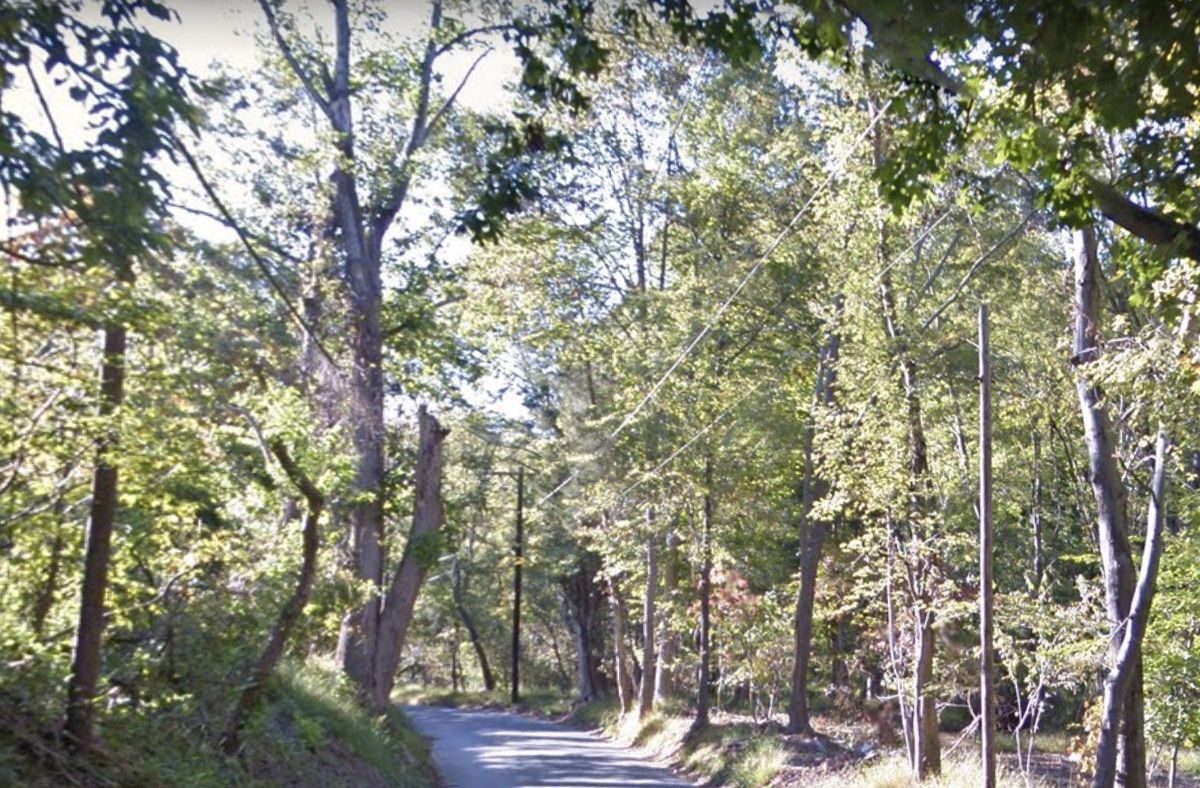 A sunlit paved road winds through a dense, green forest. - River Road and Glen Road loop