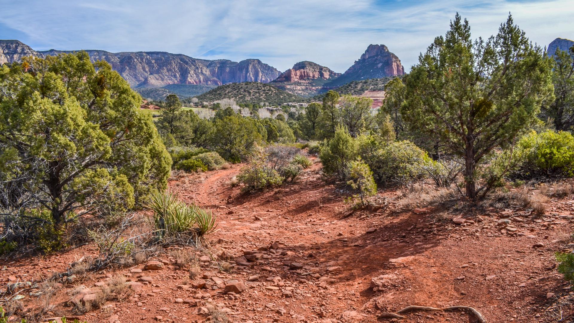 Red dirt path through green desert shrubs with distant red rock formations.