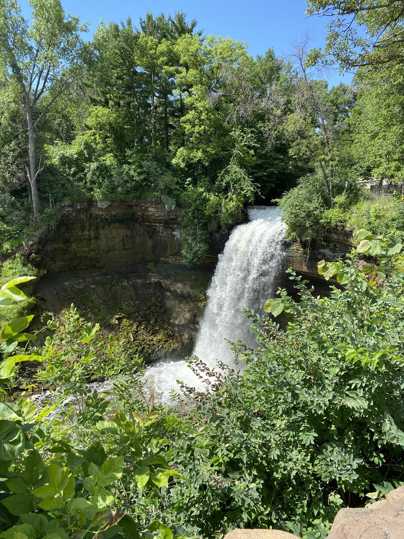 Waterfall cascading into a pool, surrounded by lush green trees. Bright daylight.