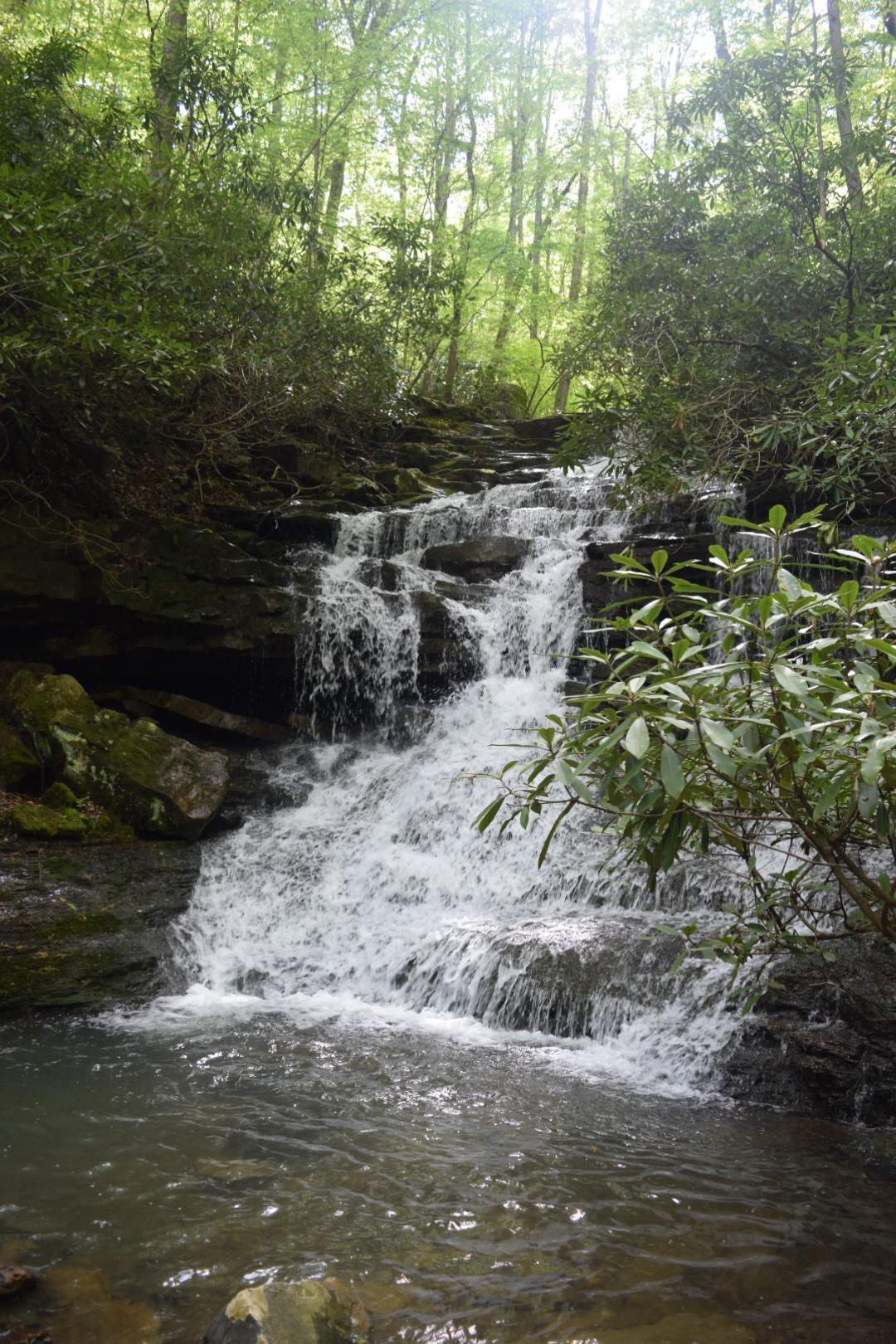 Multi-tiered waterfall cascading into a pool, surrounded by green foliage.