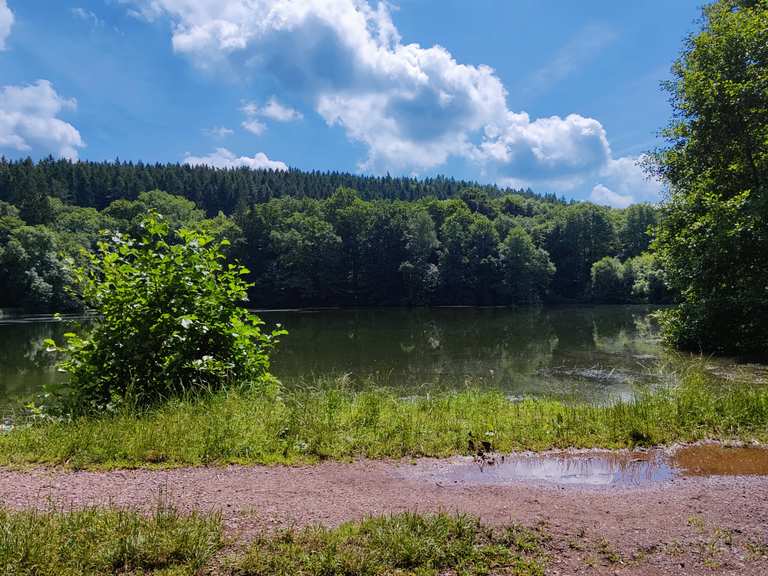 Reinhardsbrunner Teiche Mountain Bike Trails & Tracks Komoot
