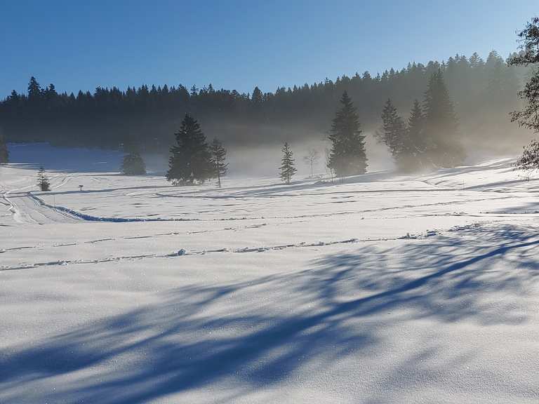 Rosinli – Picknick-Platz Runde von Adetswil | Wanderung | Komoot