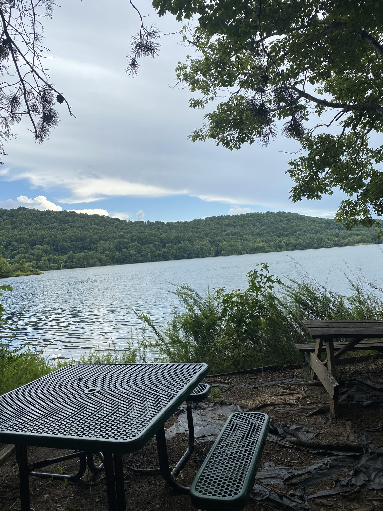 Picnic tables by a calm lake with forested hills under an overcast sky.