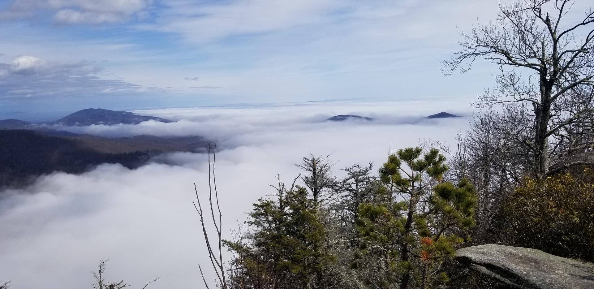Foggy mountain vista with peaks above clouds and evergreen trees.
