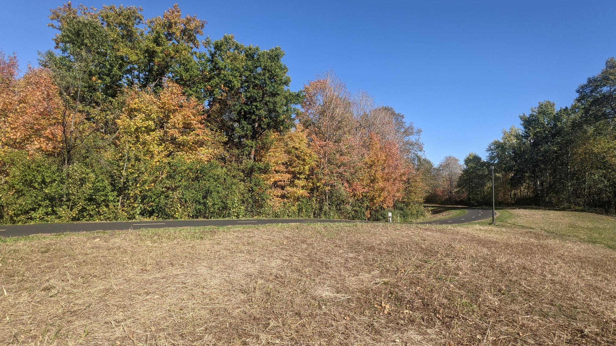 Paved path alongside vibrant autumn trees under a clear blue sky.