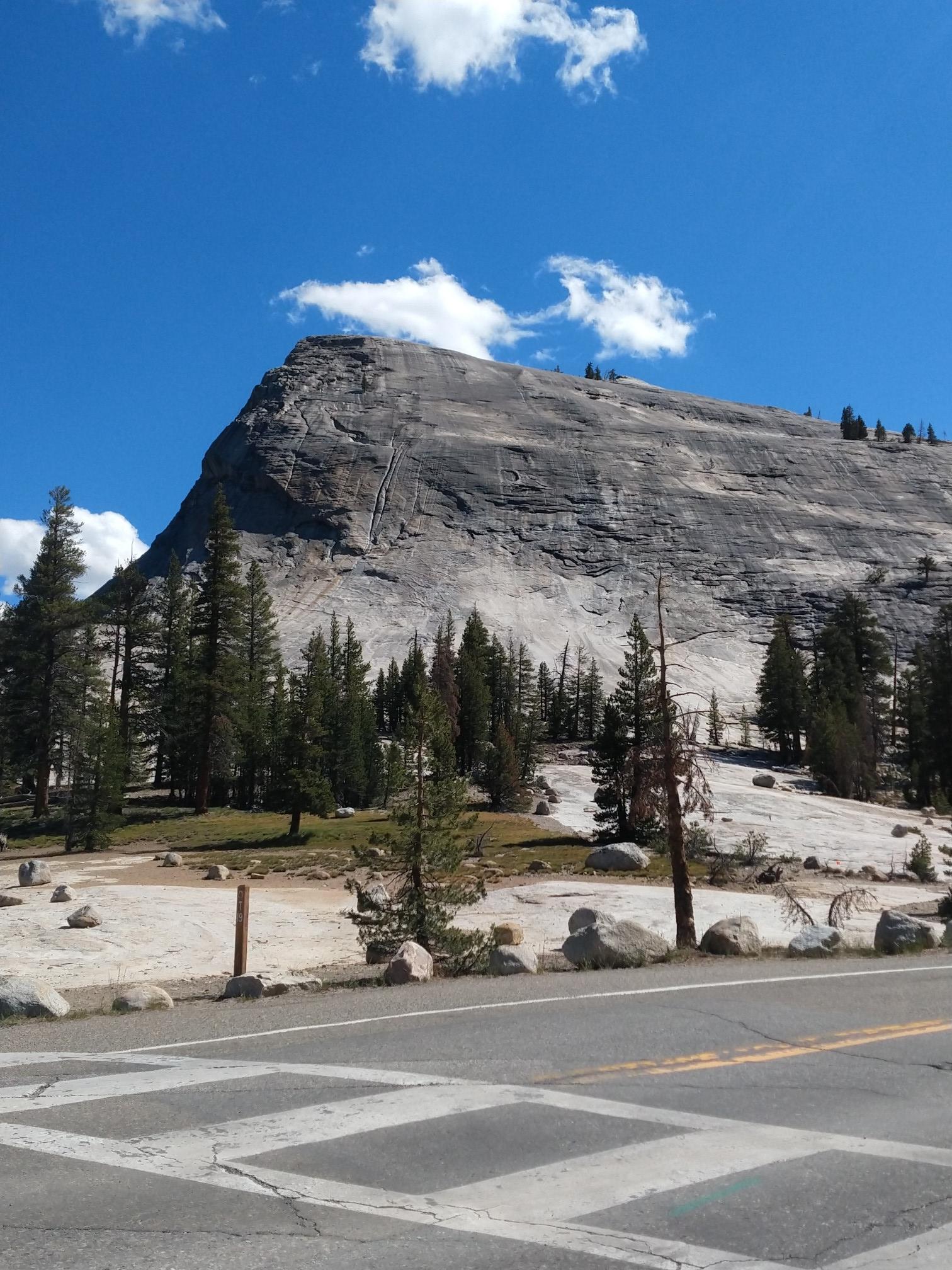 Sunny view of a massive granite dome, pine trees, and a paved road.