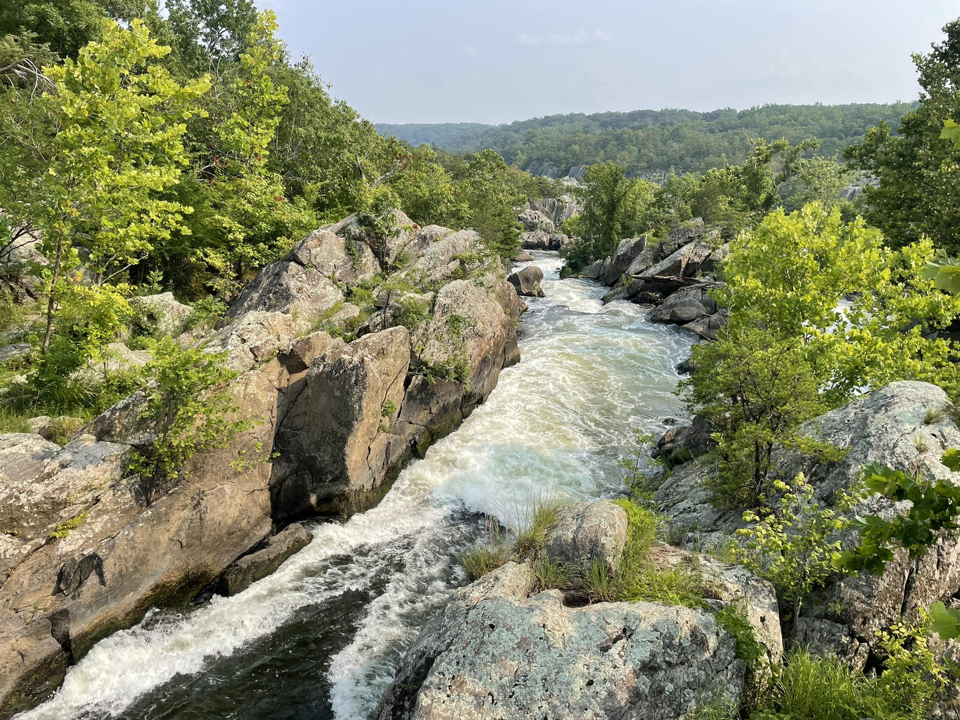 Rushing river rapids flow through a rocky gorge with green trees.
