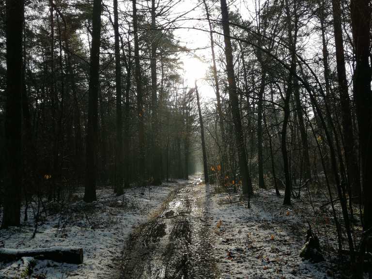 Oudsberg Duinengordel Oudsberg Rondje vanuit Oudsbergen wandeling