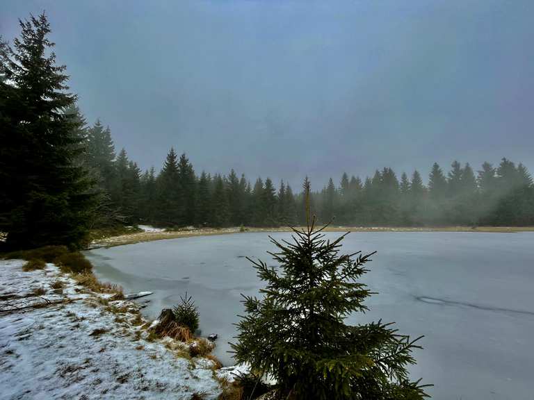 Wüster Teich wandelroutes en hikes Komoot