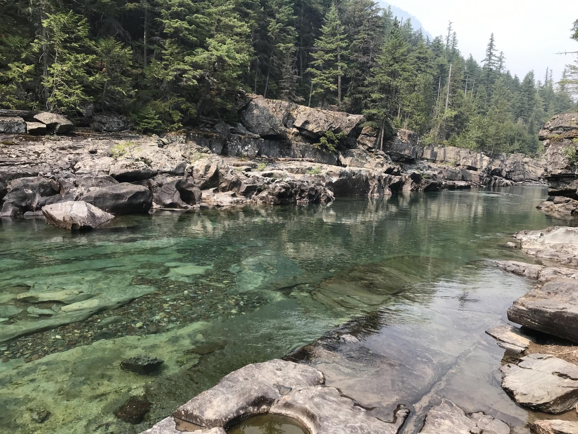 Clear, shallow river flowing over rocky bed, flanked by a dense forest.