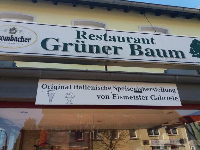 rest gruner baum wanderungen und rundwege komoot