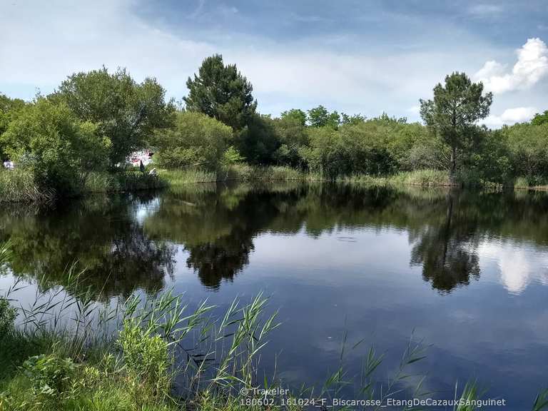 Tour Du Lac De Sanguinet En Vélo