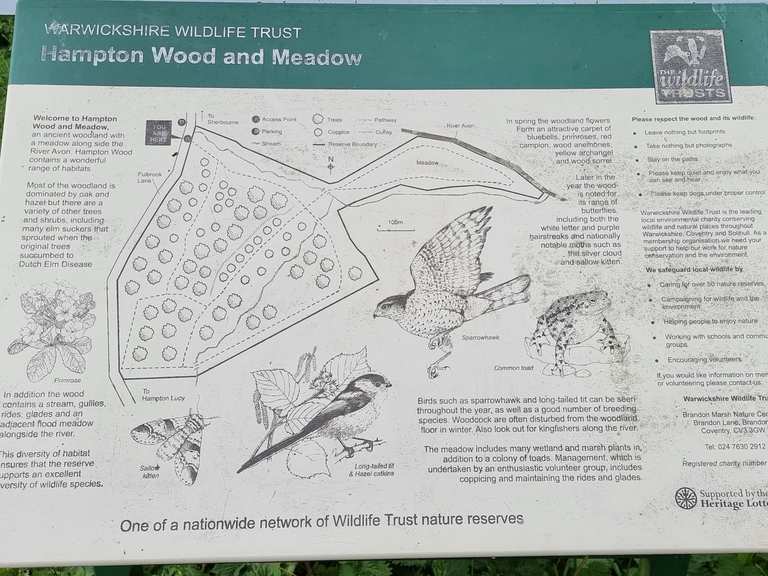 Warwickshire Wildlife Trust - Brandon Marsh Opening Hours Update