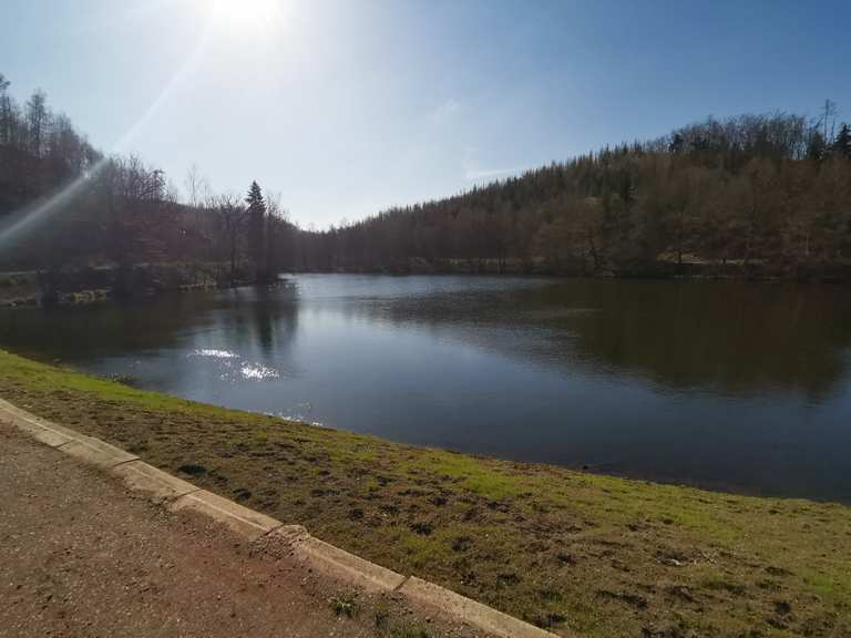 Der Heilige Teich Wanderungen und Rundwege komoot