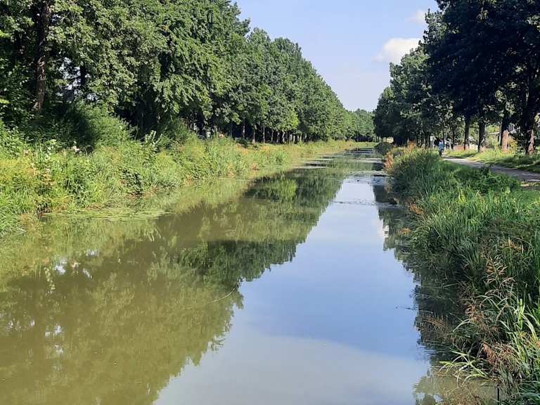 König Ludwig Kanal: Radtouren und Radwege | komoot