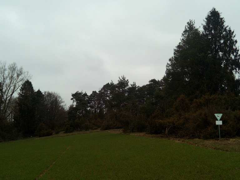 Die Heide – Auf Wurzeln über den Bach Runde von Schreufa | Wanderung