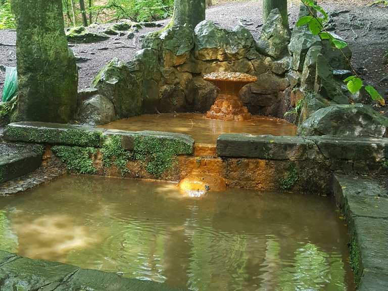 HotelRestaurant Forstfrieden Wanderungen und Rundwege komoot