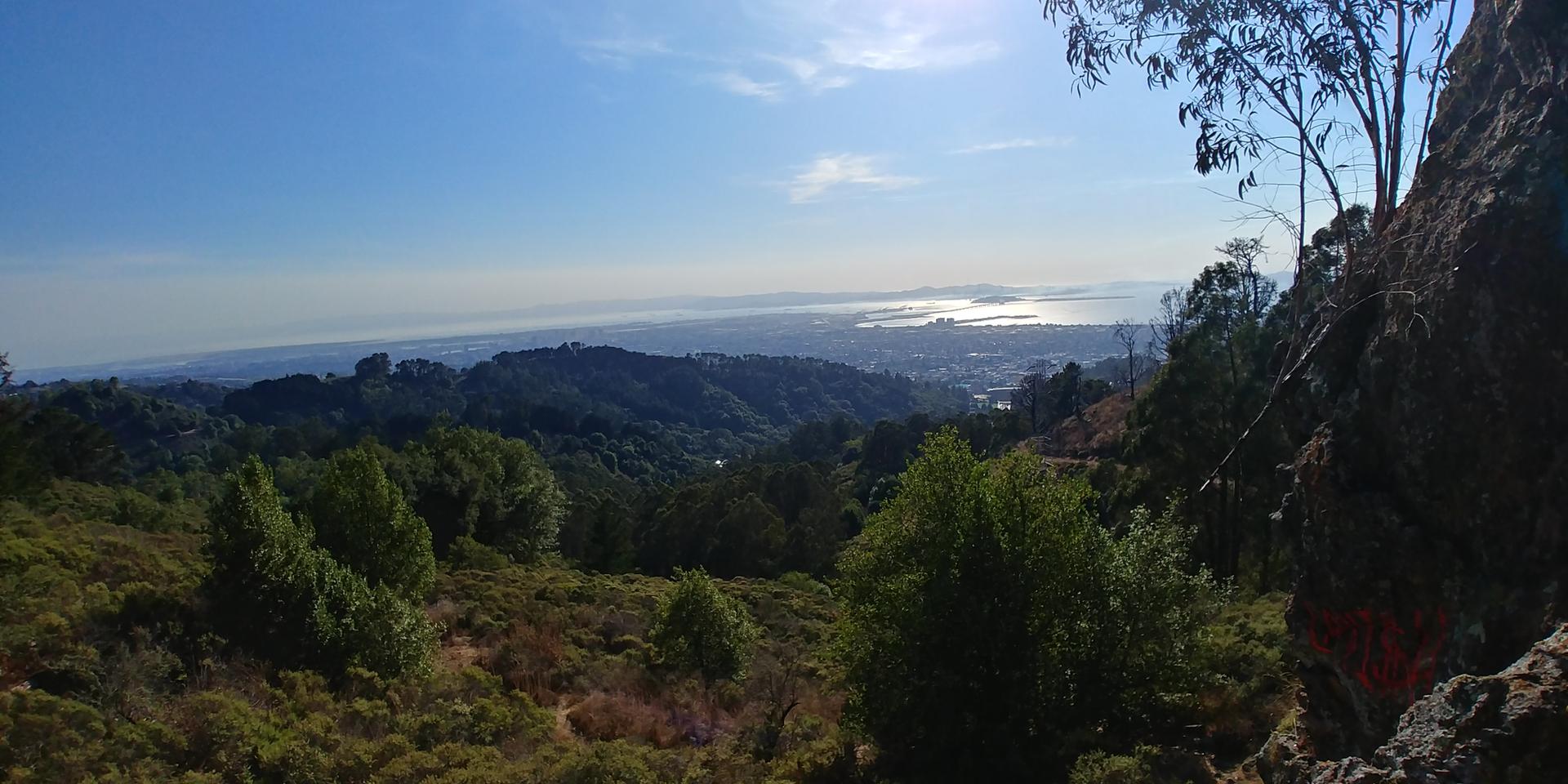 Sunny view of a distant city and bay over green, wooded hills.