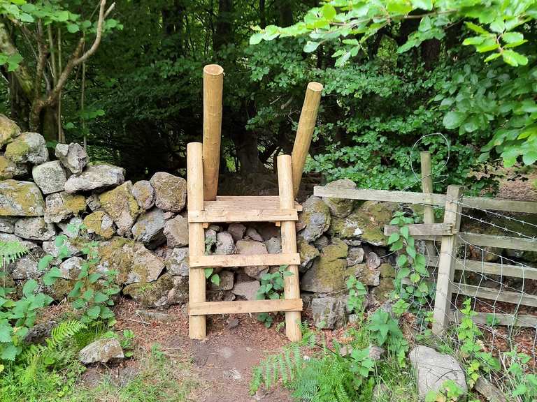 Path to Gilmour's Linn, Charlie's Cave. percorsi escursionistici e trekking Komoot