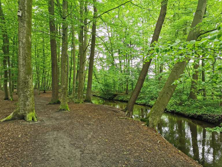 Fahrrad König Isselhorst