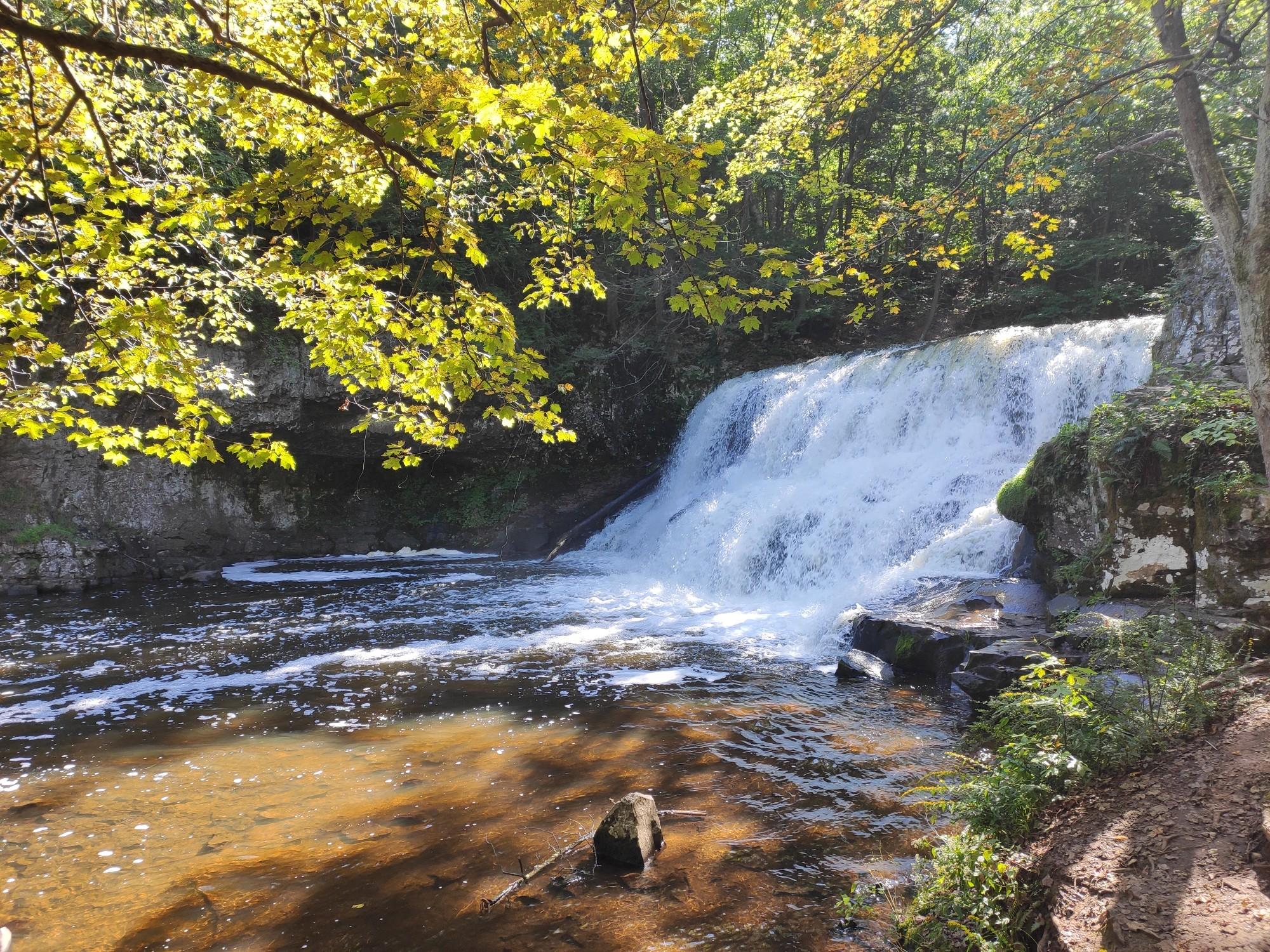 A sunlit waterfall cascades into a river surrounded by lush green trees.