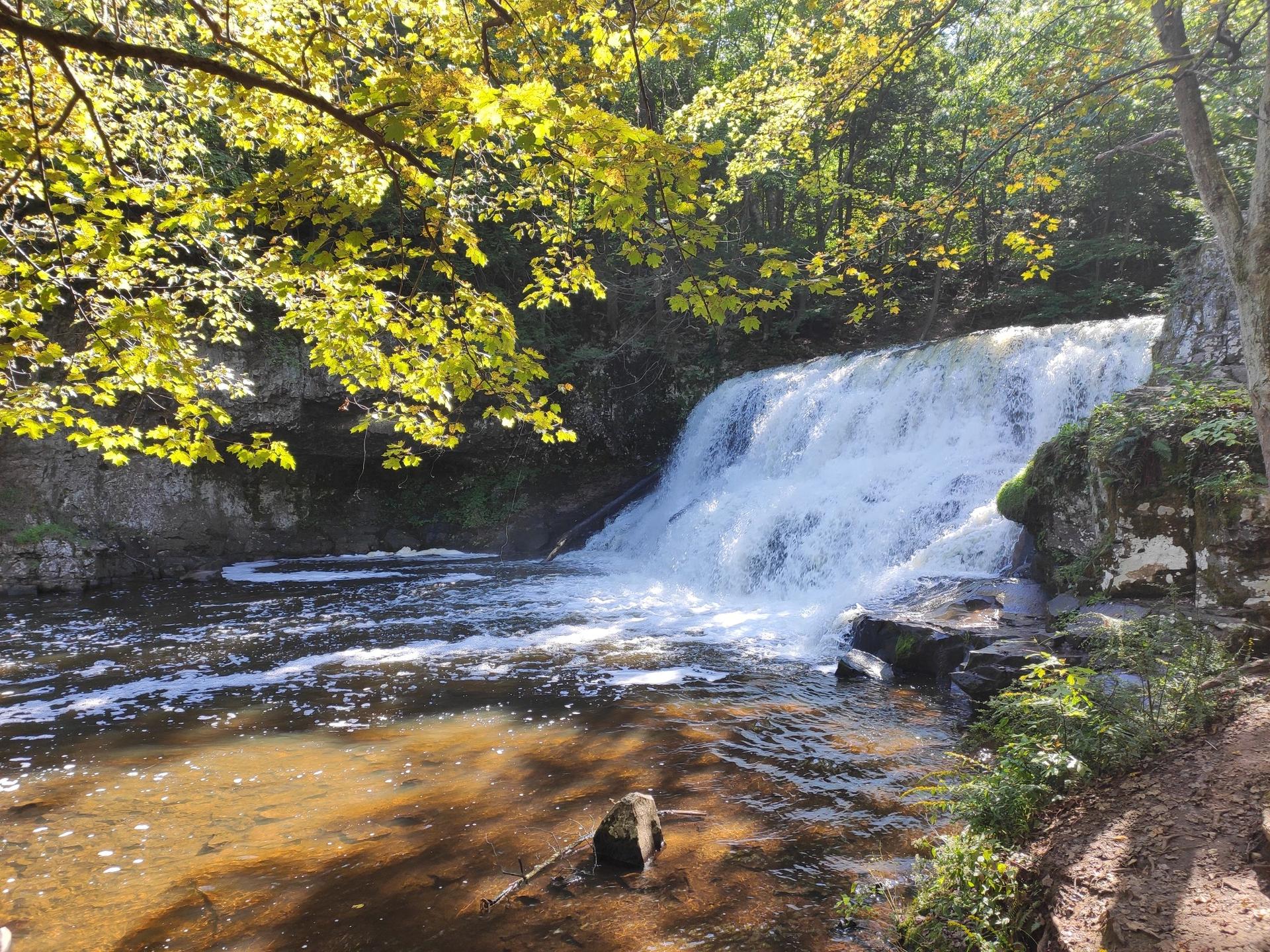 A sunlit waterfall cascades into a river surrounded by lush green trees.