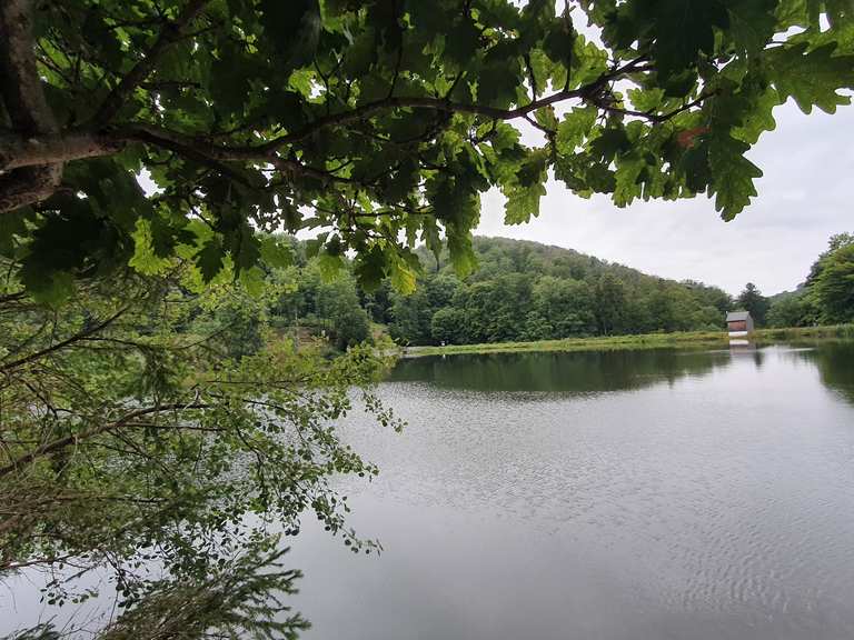 Ehemaliges KneippKurHotel Wiesenbeker Teich Wanderungen und Rundwege