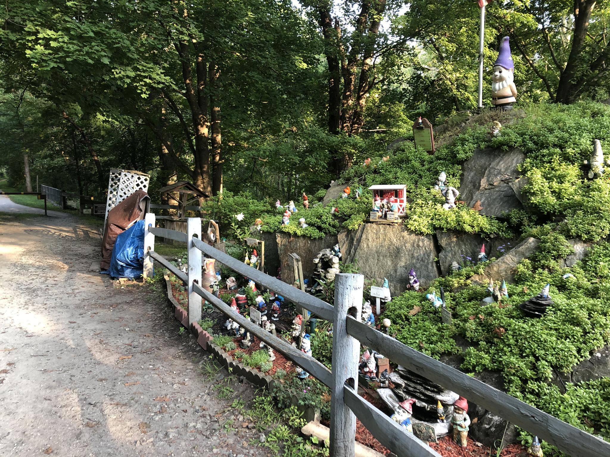 Hillside covered with many garden gnomes and green plants on a sunny day.