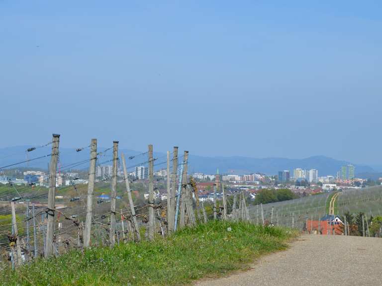 Gut ausgebauter Radweg Schönbergblick Runde von Freiburg