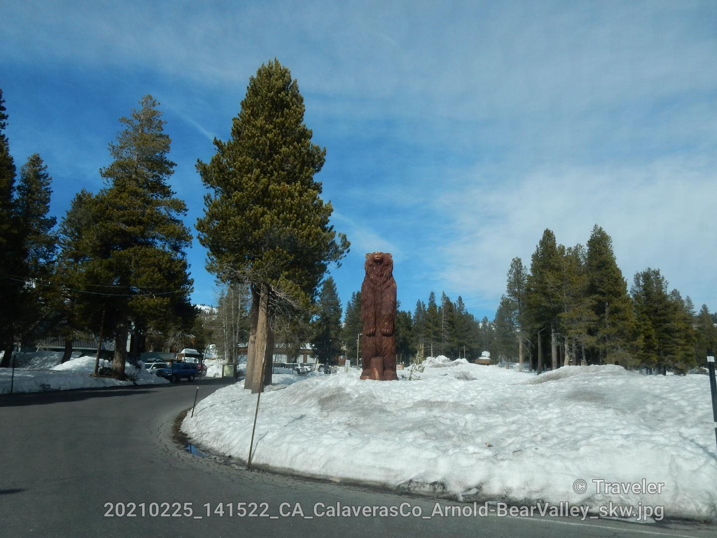 Wooden bear statue in snow, surrounded by pine trees under a bright blue sky.