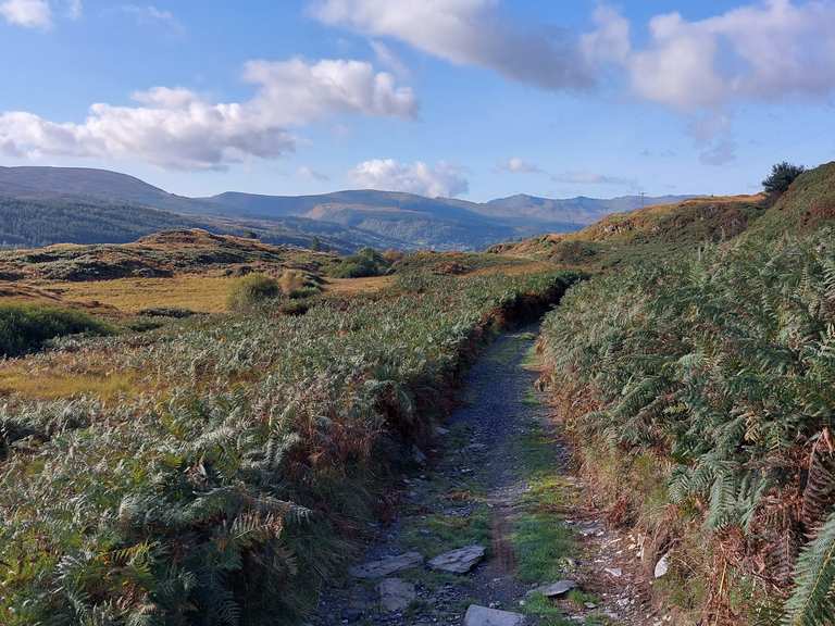 Sarn Helen Roman road: Mountainbike-Touren | komoot