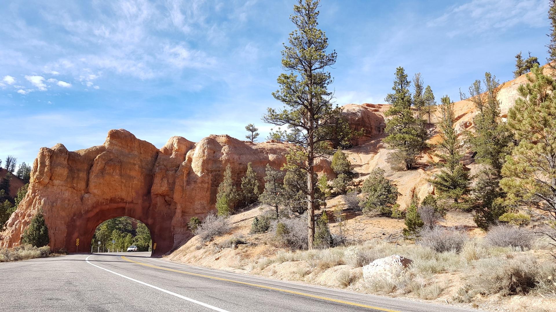 Sunny road passing through a natural red rock arch, surrounded by pine trees.