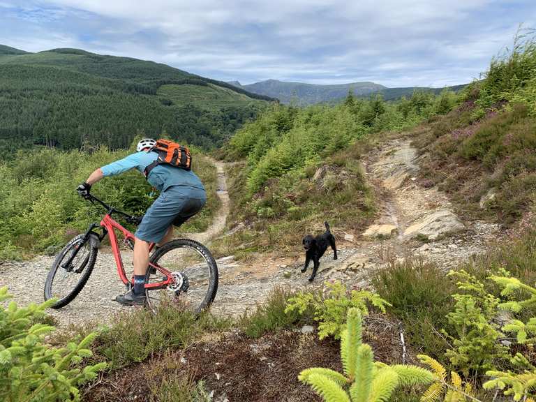 Mach MTB trails slate tracks of the Dyfi Valley Mountain