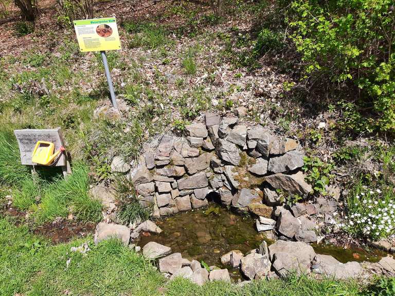 Bänke mit Aussicht Marienkapelle Molzhain Runde von Steineroth