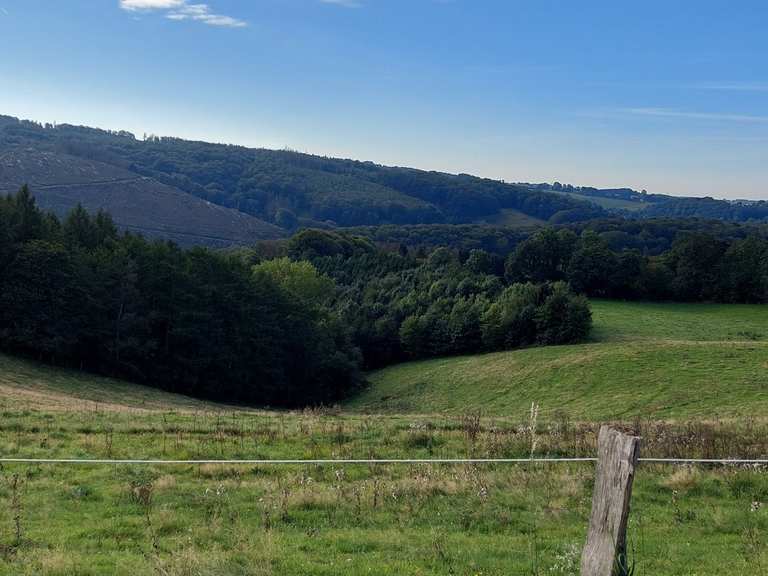 Gut Braband Wanderungen und Rundwege komoot