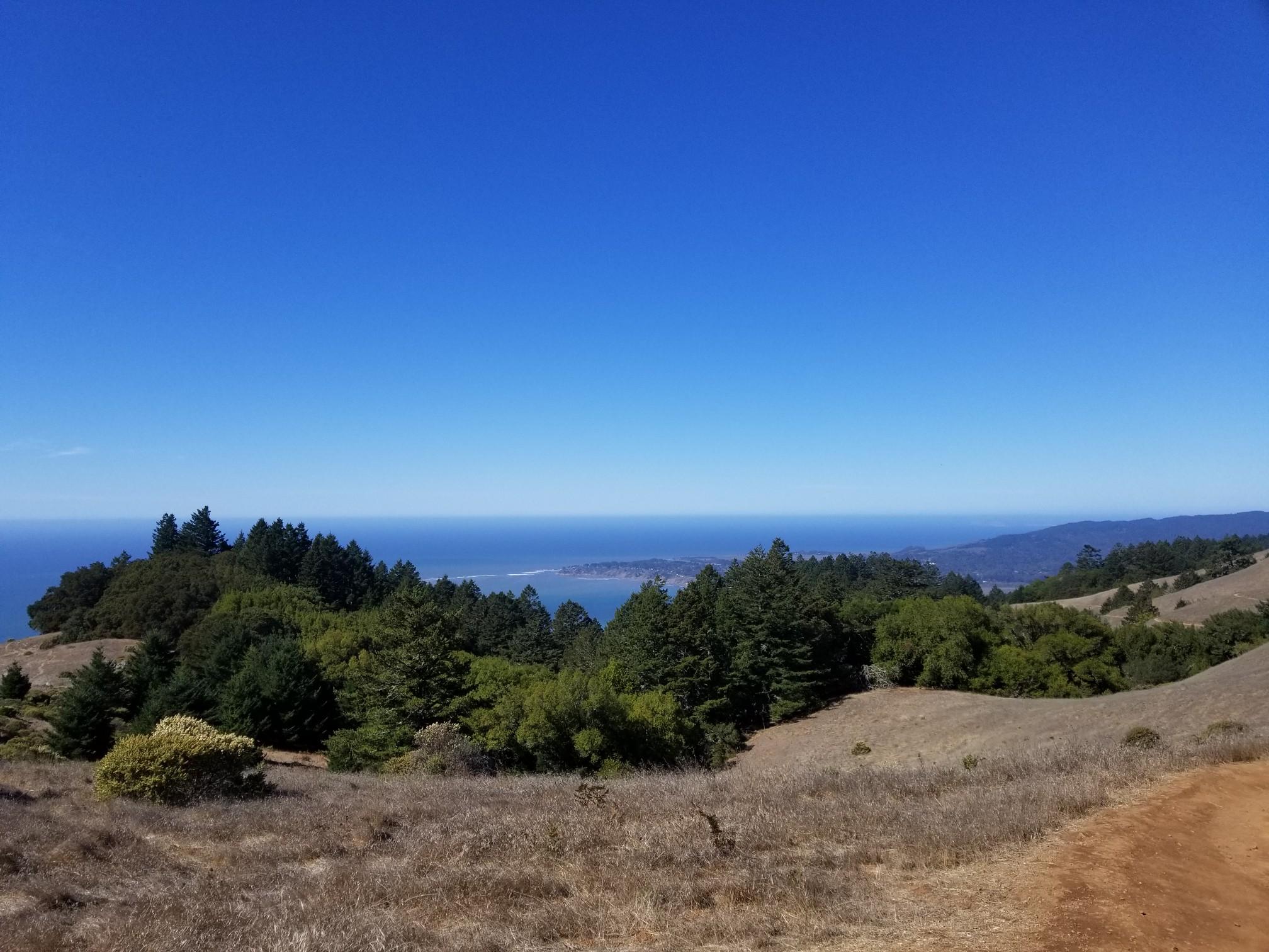 Sunny view of dry hills, green trees, and a distant blue ocean.